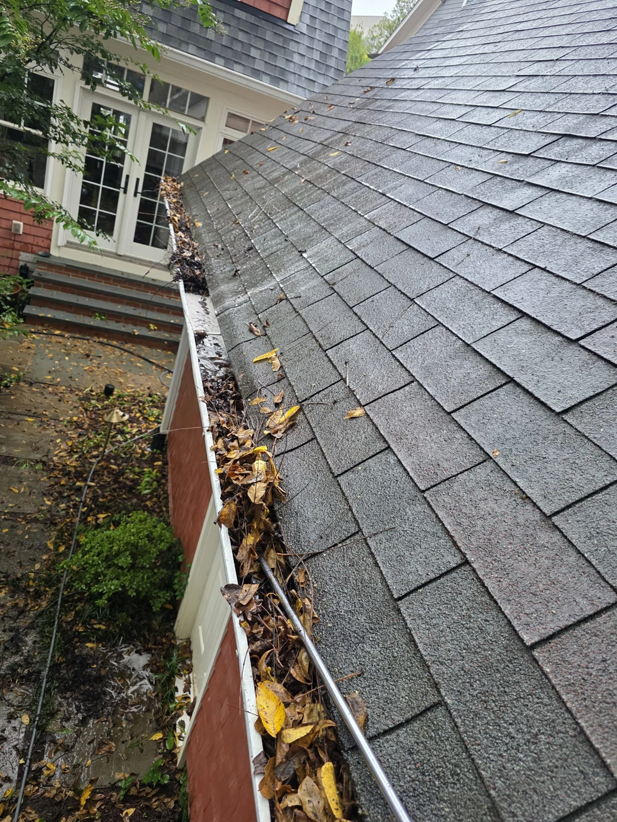 Leaves and debris collected along a residential gutter.